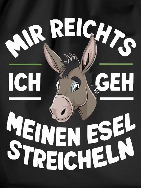 Donkey Donkey Mule Muli