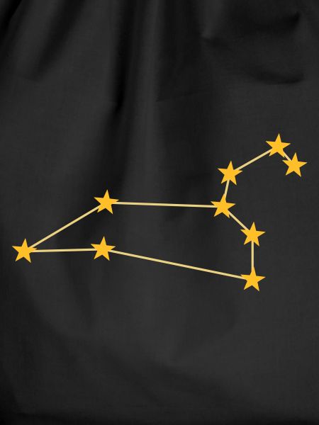 Constellation Leo