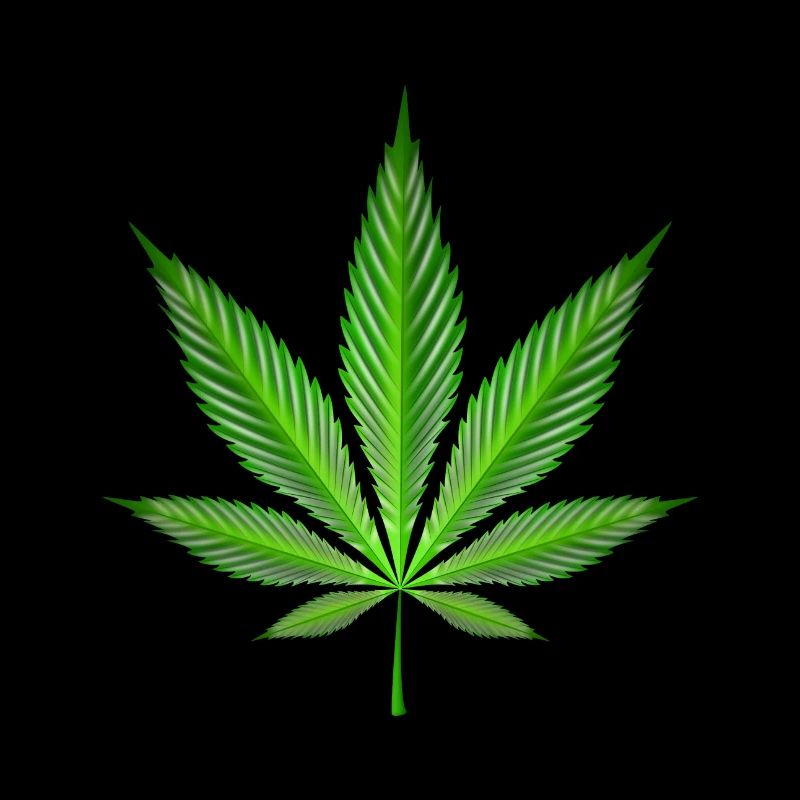 Cannabis leaf