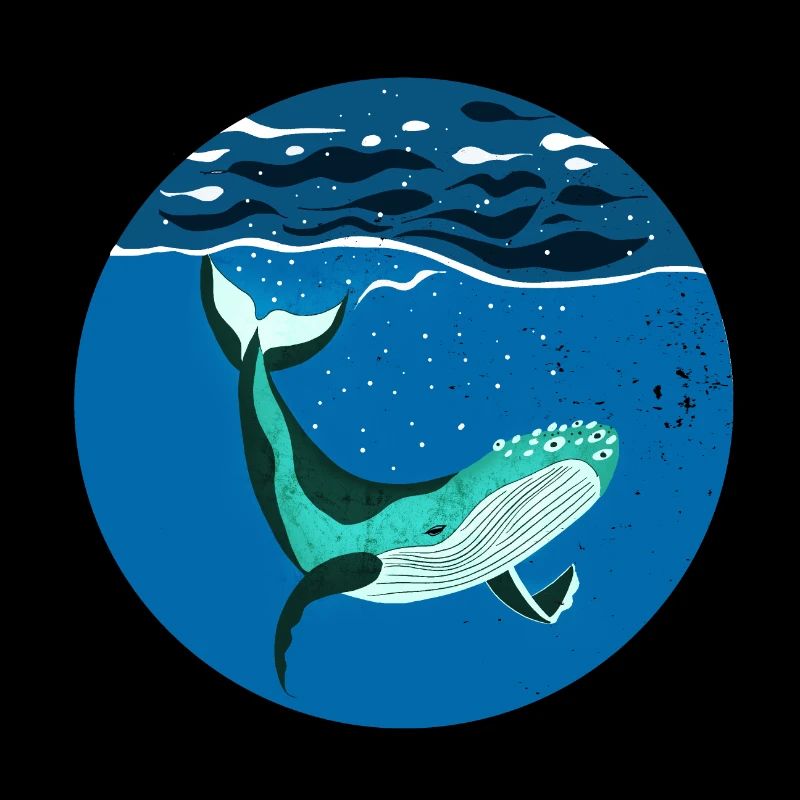 Humpback I Buckelwal unter Wasser