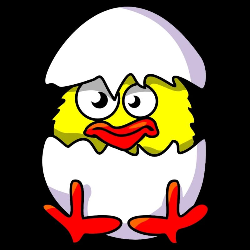 Chick and shells