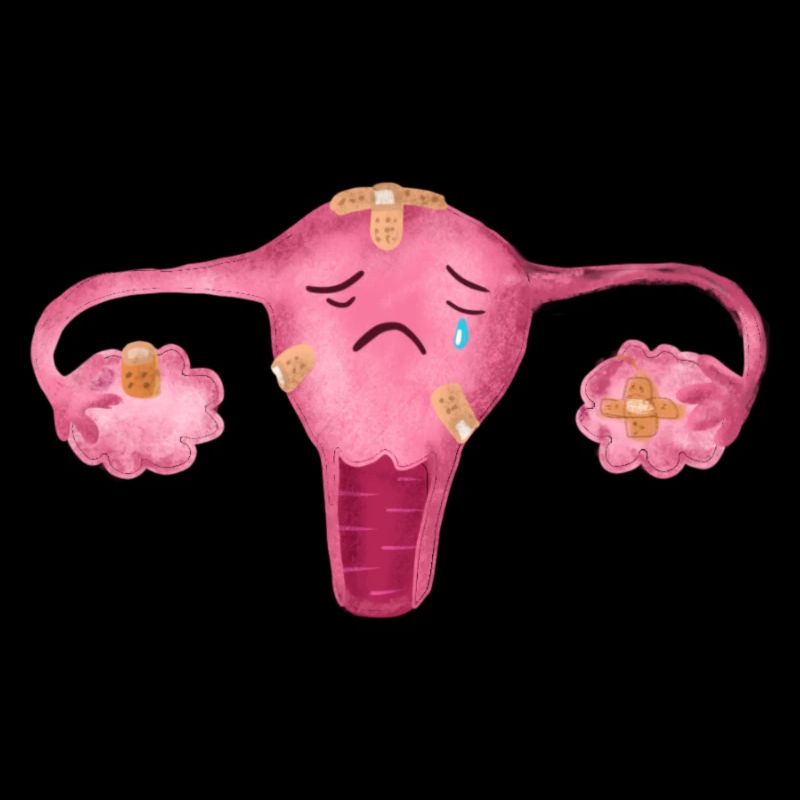 Uterus
