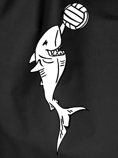 shark with volleyball