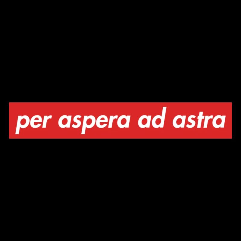 per aspera ad astra