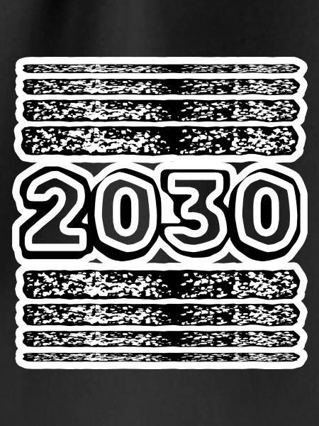 Year 2030