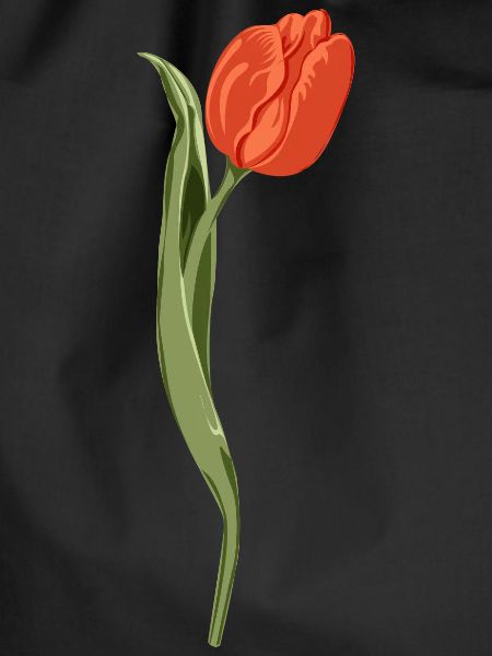 Vivid Red Tulip Illustration