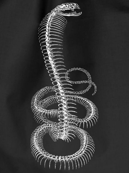 Cobra