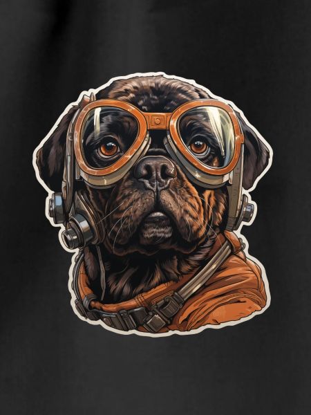 Pug Pilot