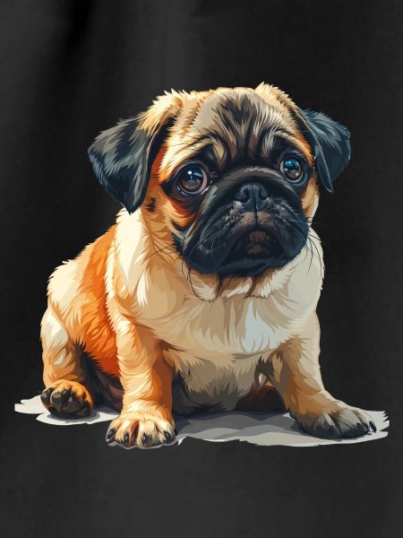 Pug puppy sitting