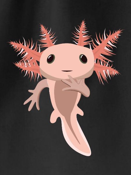 Cute Baby Axolotl