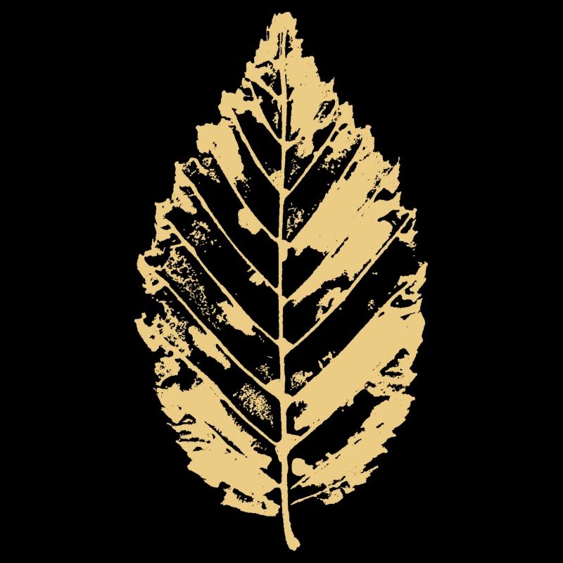 Beech leaf - Beech leaf - BOTANICAL