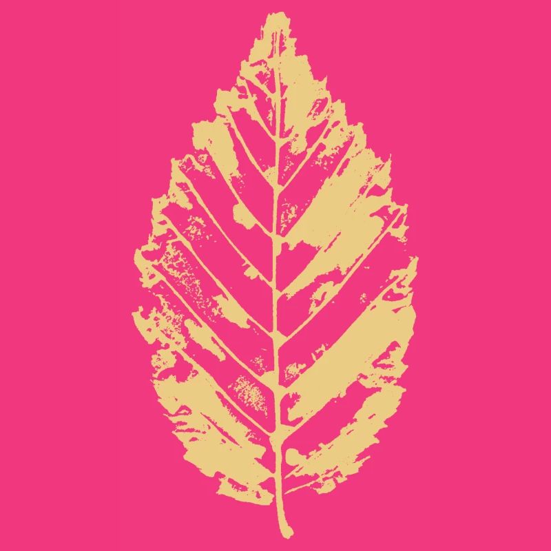 Beech leaf - Beech leaf - BOTANICAL