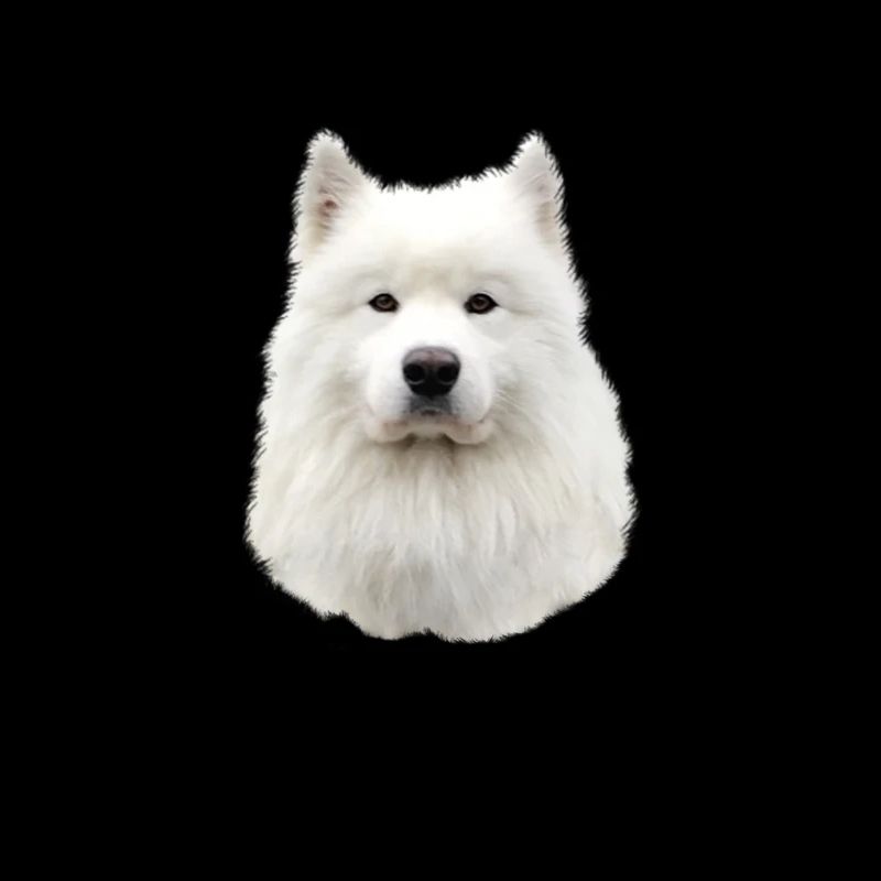 Samojede