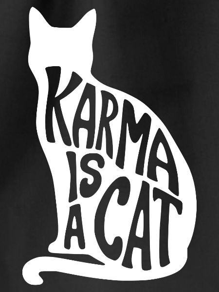 Karma is a cat