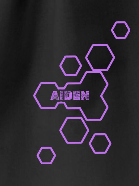 Name Aiden