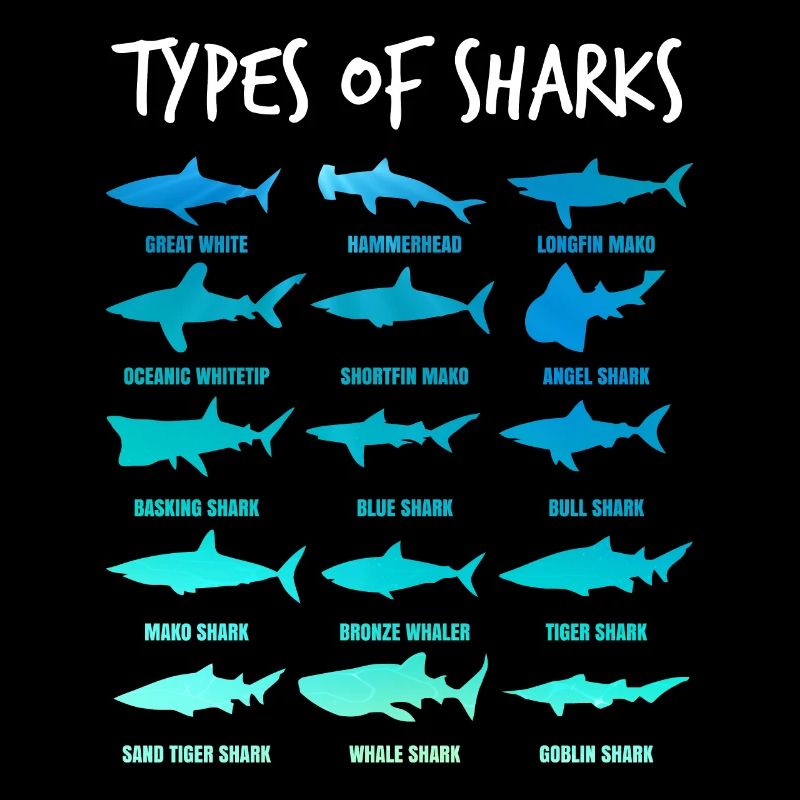 Types de requins - requin mer sous-marine