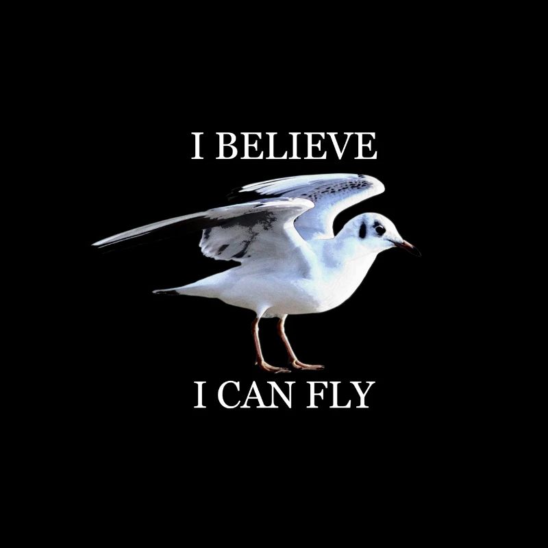 I BELIEVE I CAN FLY