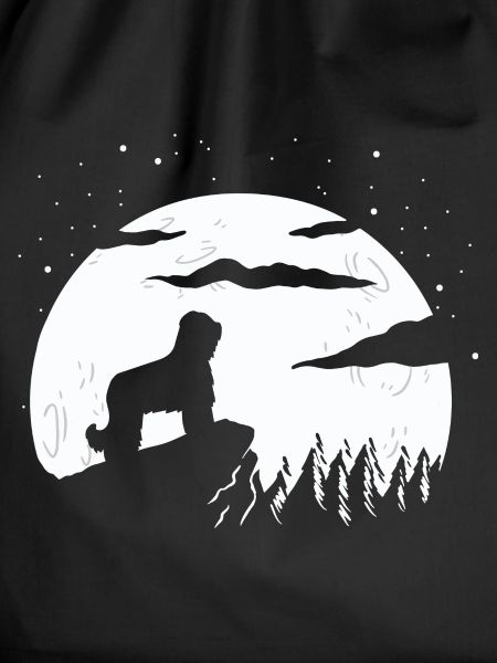 Briard Moon Gift