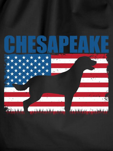 Chesapeake Bay Retriever