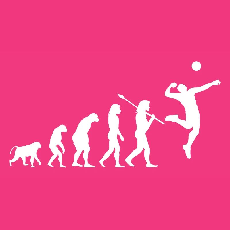 Volleyball Evolution