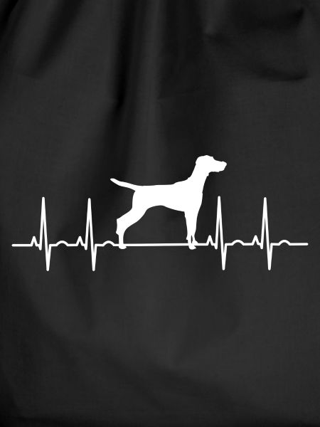 Vizsla