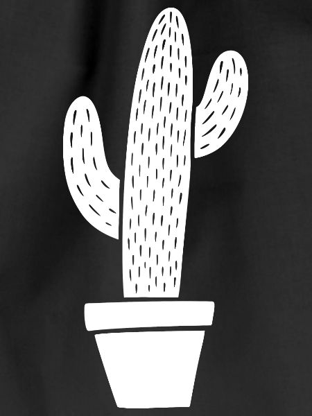 Cactus in pot