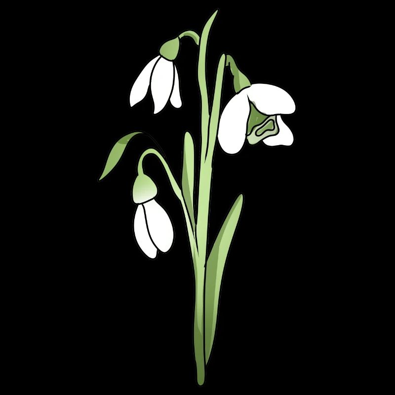 Schneeglöckchen