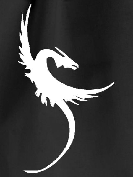 Flying dragon motif