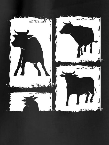 Buffalo Cattle Oxen