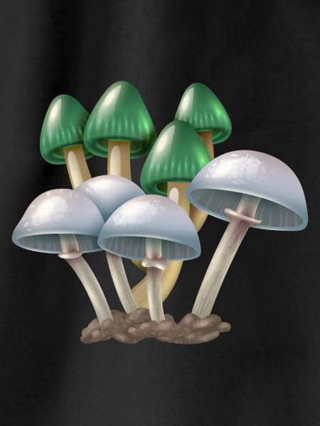 shrooms mashrooms mushrooms