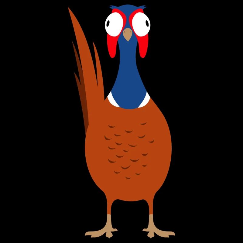 Coq faisan Oiseau Drôle Drôle
