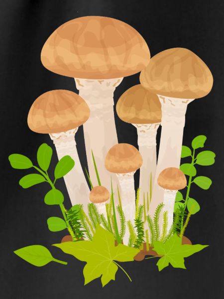 Fungi