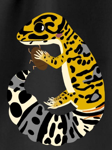 Leopardgecko mit Kakerlake