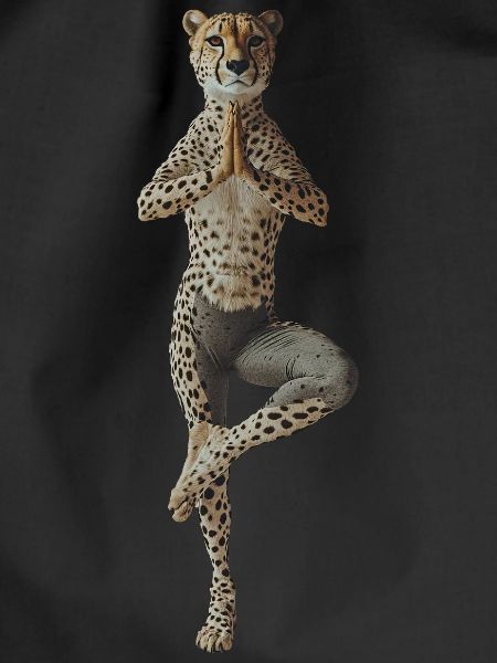 Gepard