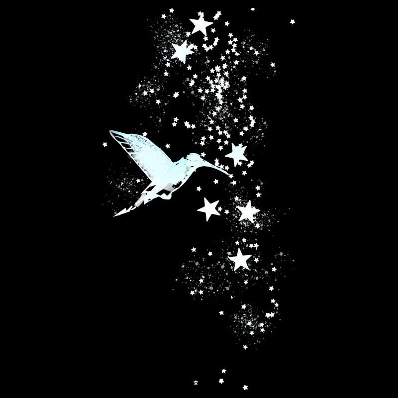 sterne,weiss,illustration,stern,kolibri,vogel