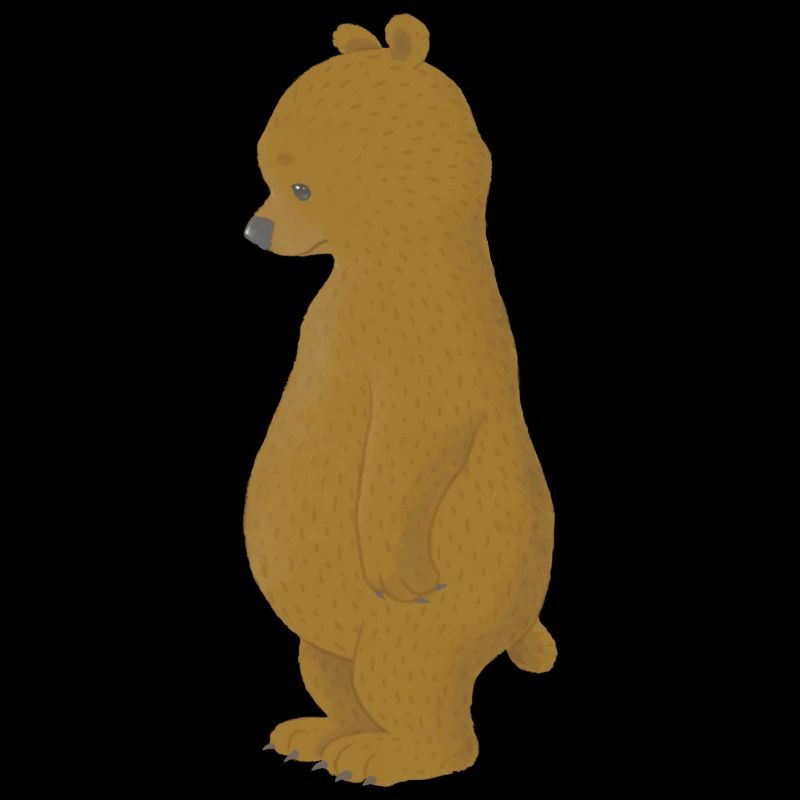 sad bear