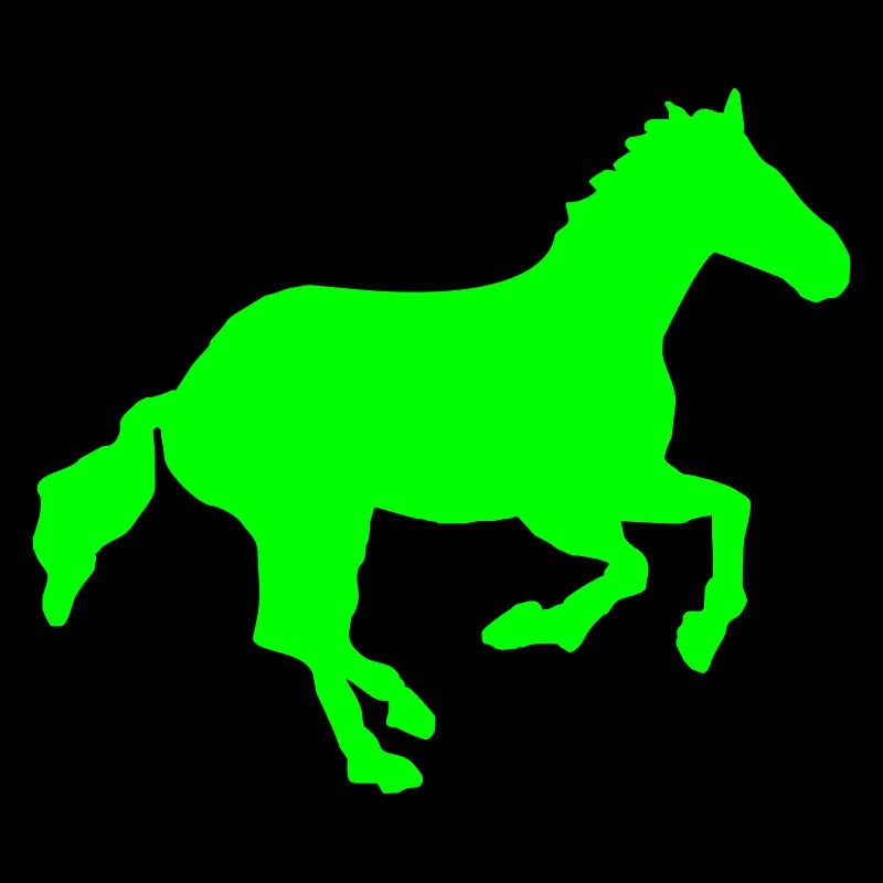 wildpferd