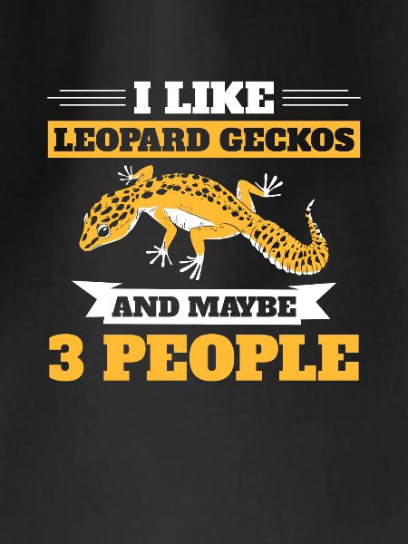 Reptile Lizard Leopard Gecko