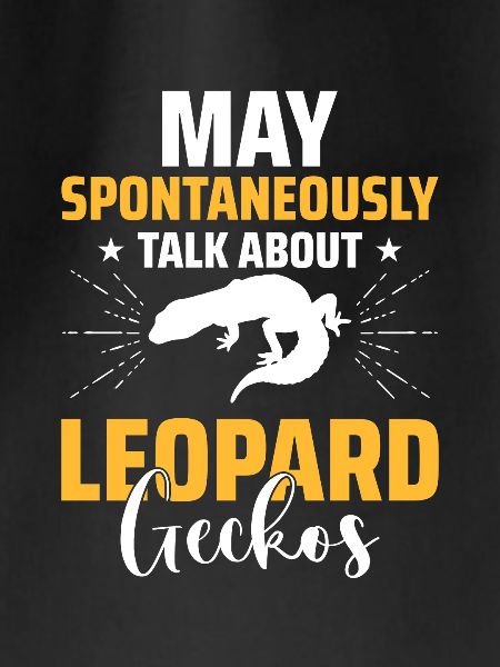 Reptile Lizard Leopard Gecko