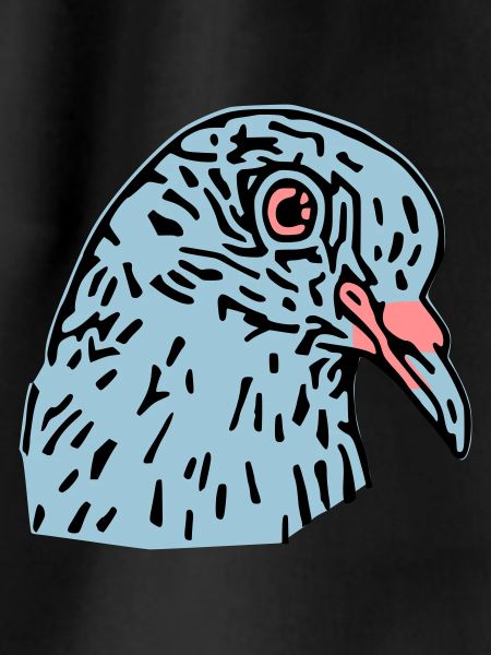 pigeonnot