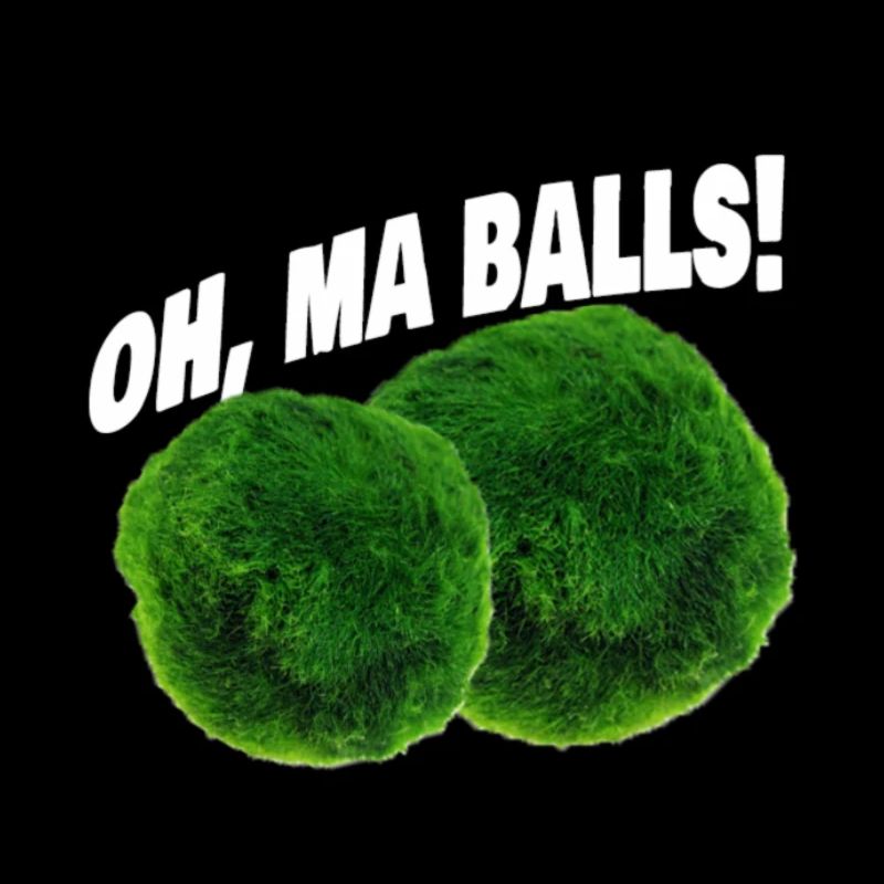 Moss Balls