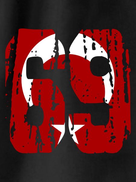 Bayburt 69 used