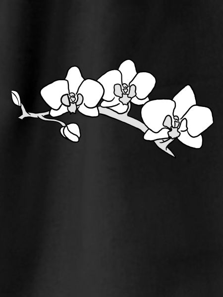 orchid