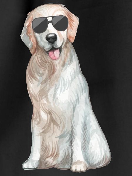 Funny dog