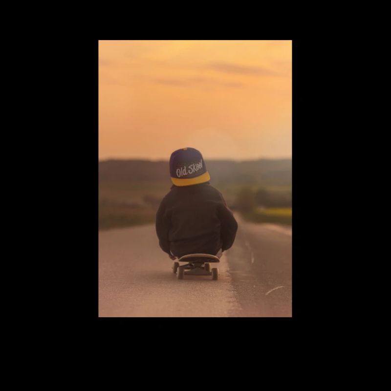 vintage skate