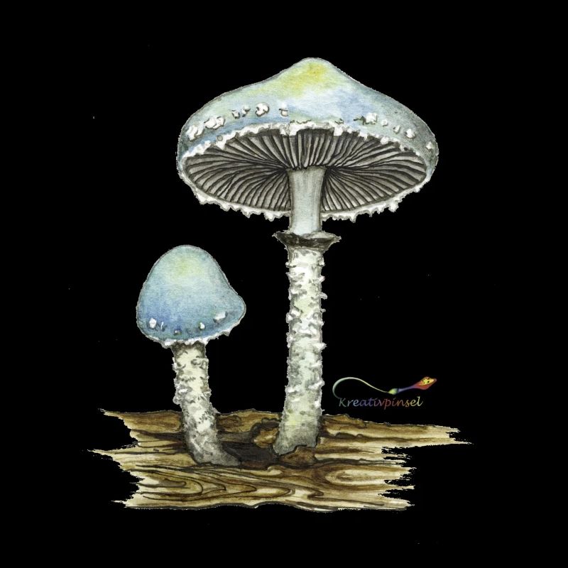 Verdigris Trümmling