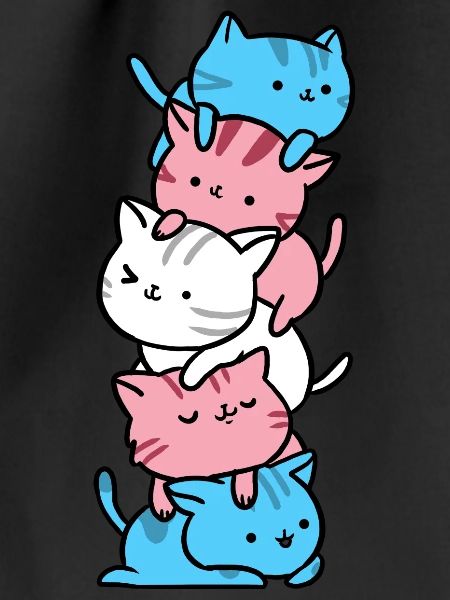 Cats Trans Pride