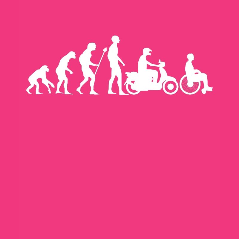 Evolution Moped Roller Mofa Rollstuhl Geschenk