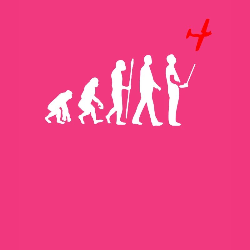 Evolution du modèle de vol