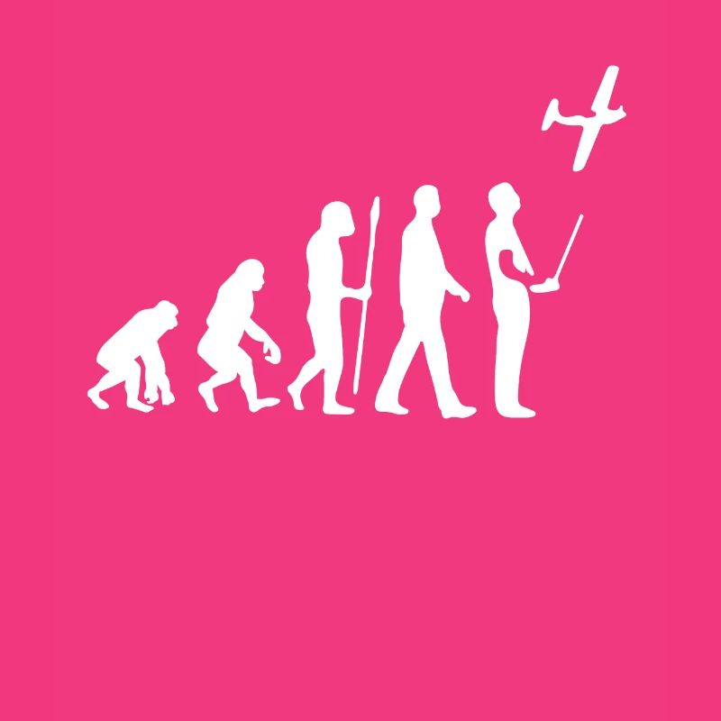 Model Flight Evolution